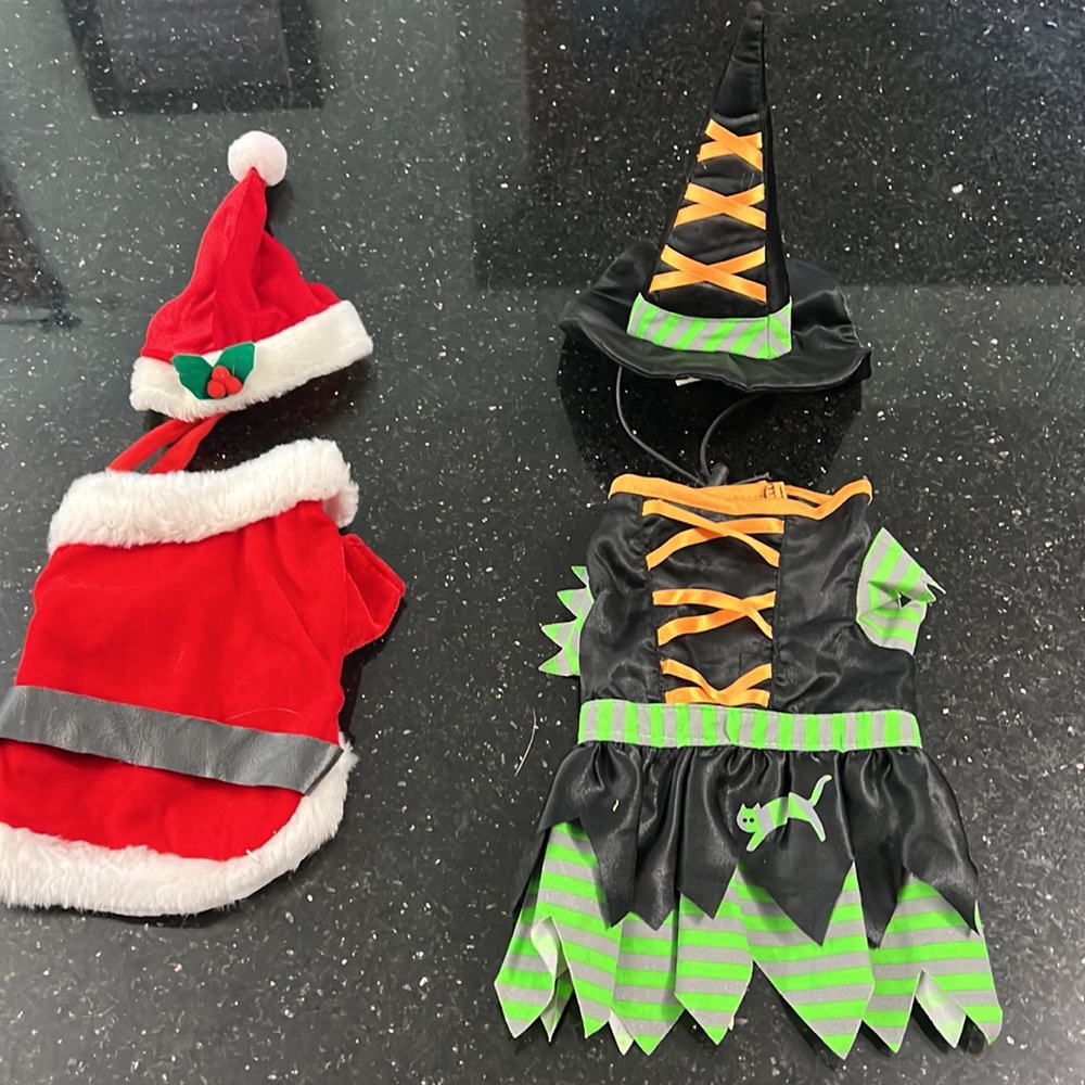DOG COSTUMES Witch Santa Mrs Clause XXS EXTRA SMALL Clothes Halloween Christmas